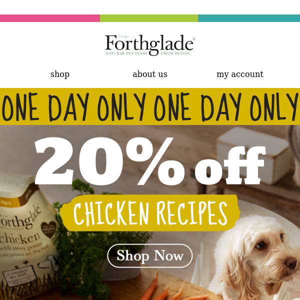 1 Day Only 📣20% OFF Chicken Recipes