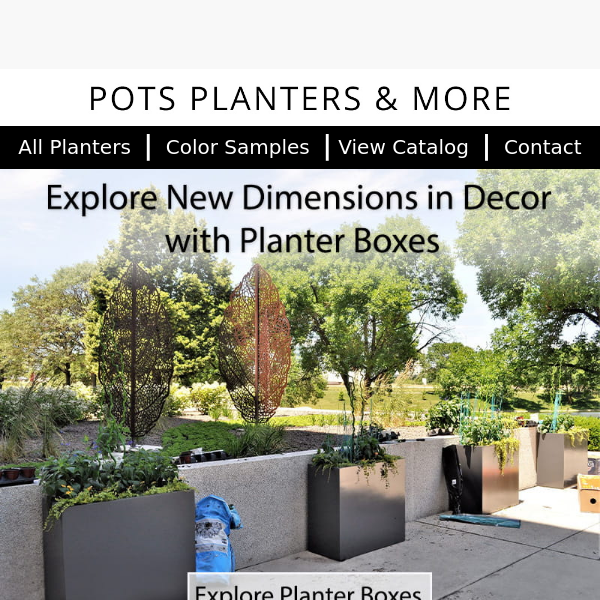 Explore New Dimensions in Decor with Planters 🌿