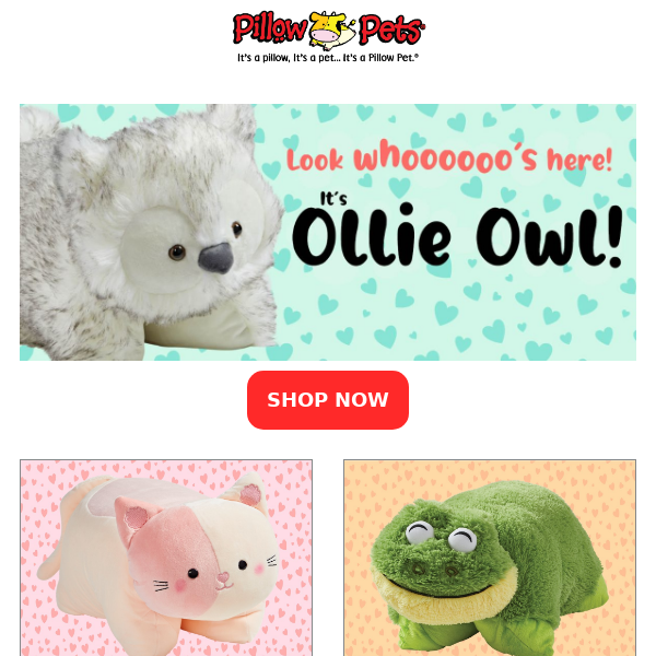 L👀K whoooo's here! 😍 It's OLLIE OWL!