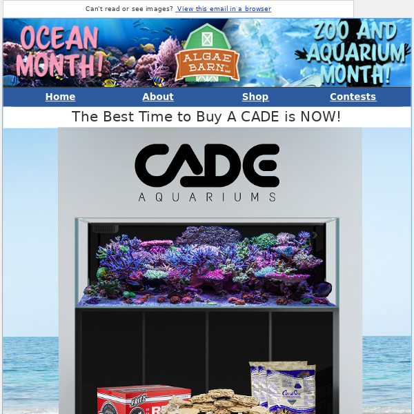 Get Select Fish and Coral from ORA for 20% off!  + We Have Berghia!