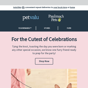 It’s a celebration, and your pets are invited