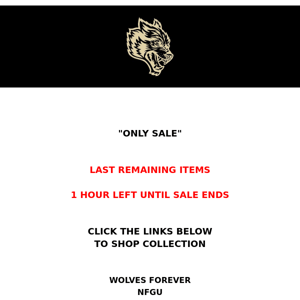 1 HOUR LEFT  - ONLY SALE REMAINING ITEMS