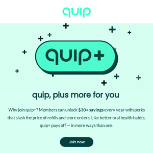 New! Introducing quip+ Membership