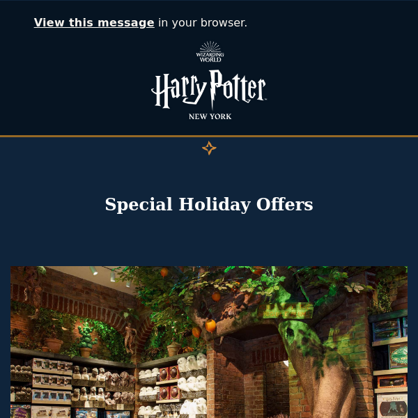 The Ultimate Harry Potter Shopping Experience