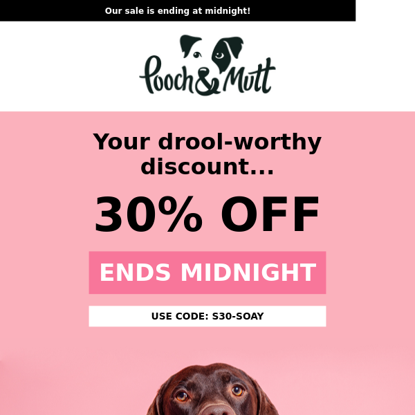 Your code expires at midnight, Pooch and Mutt! ⏰