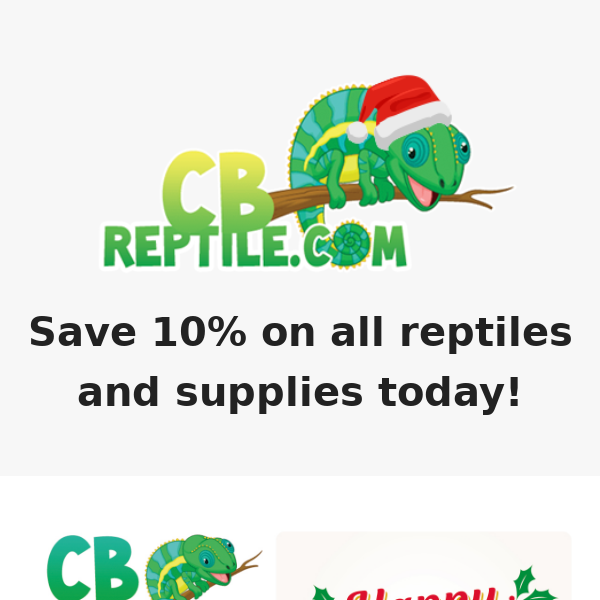 Add a baby tortoise 🐢, gecko 🦎 or chameleon to your Holiday 🎄 cheer!