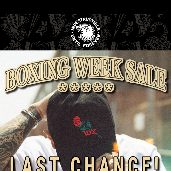 Our Boxing Week Sale Ends Tonight