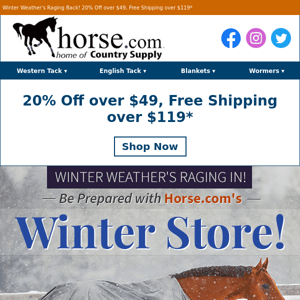 NOW: Winter Super Store…20% Off + Free Shipping!