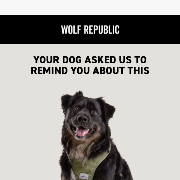 Your dog asked us to remind you...