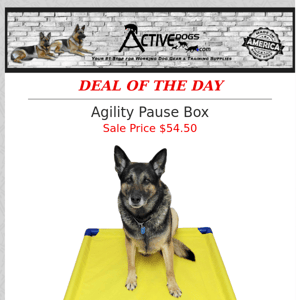 Agility Pause Box - Deal of the Day