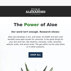 Discover the Power of Aloe Vera