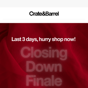 💥 Closing Down FINALE: 60% off* sitewide 💥