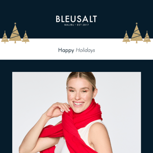 Wishing You a Happy Holiday from Bleusalt!