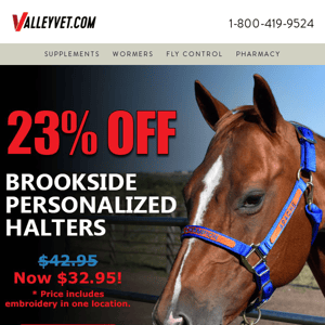 Save $10: Personalized Horse Halter