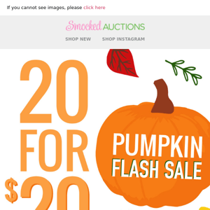 Don't Miss 20 for $20 Pumpkins!
