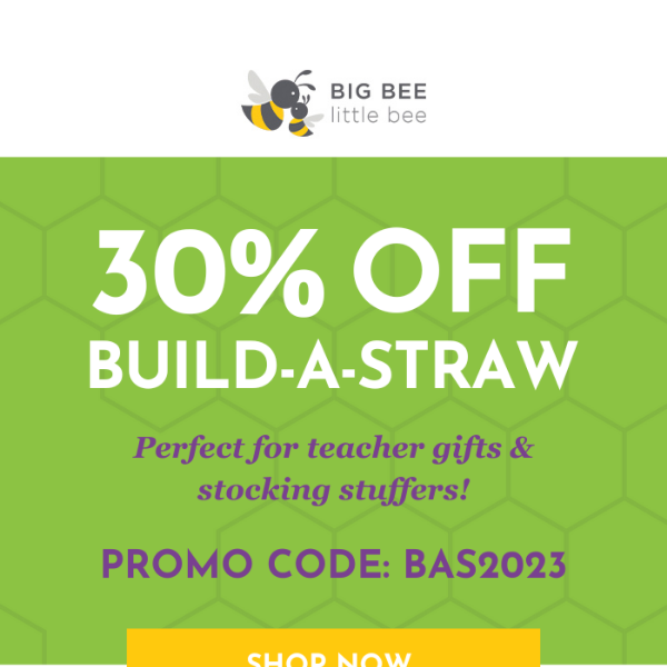 Party Favor Build-A-Straw DIY Kit – Big Bee, Little Bee