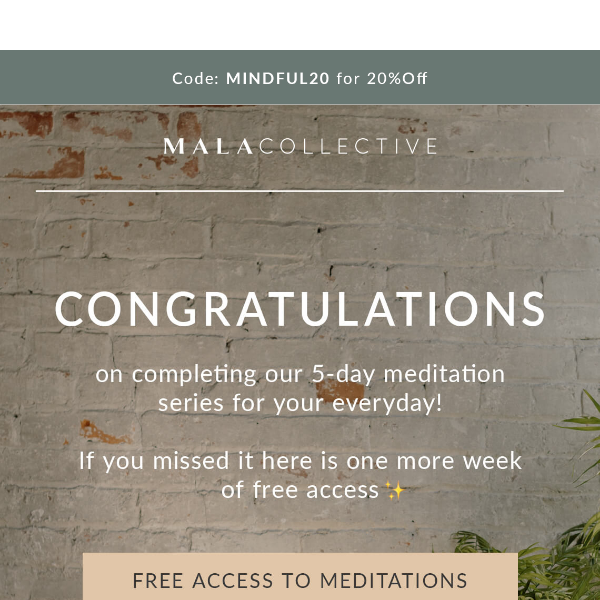 Meditations for your Everyday - FREE ACCESS!