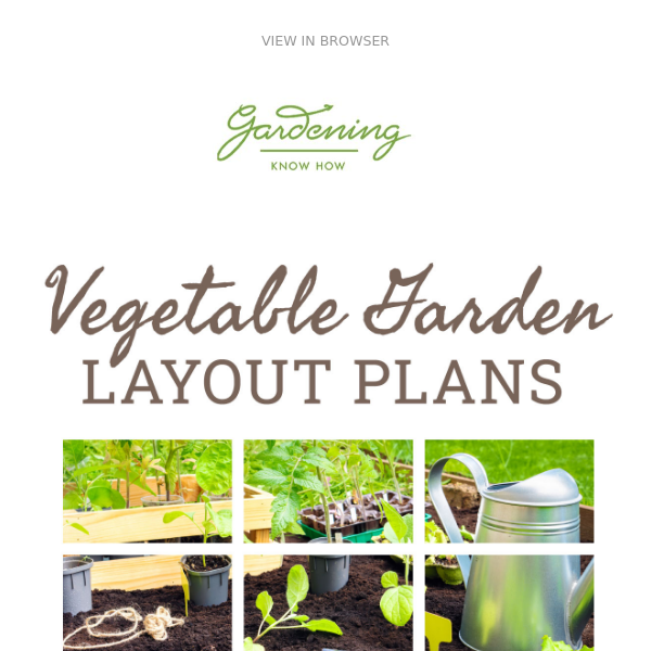 Garden Layout Plans + Growing Expired Seeds + Bulbs Blooming Too Early