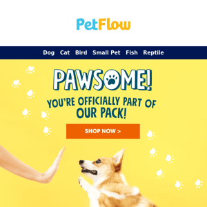 Welcome to PetFlow!