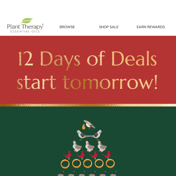 🎊 12 Days of Deals Start TOMORROW 🎊