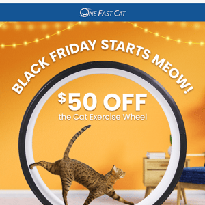 Our BIGGEST sale of the year! 🦃 Get $50 OFF the Cat Exercise Wheel 😻