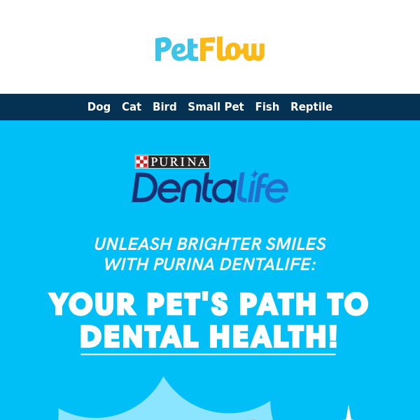 Brighten Their Day: Discover Purina Dentalife for Happy, Healthy Pets 🌟