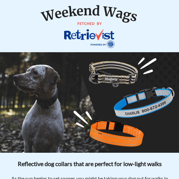 MLB Reflective Dog Collars by SportyK9 – UKUSCAdoggie