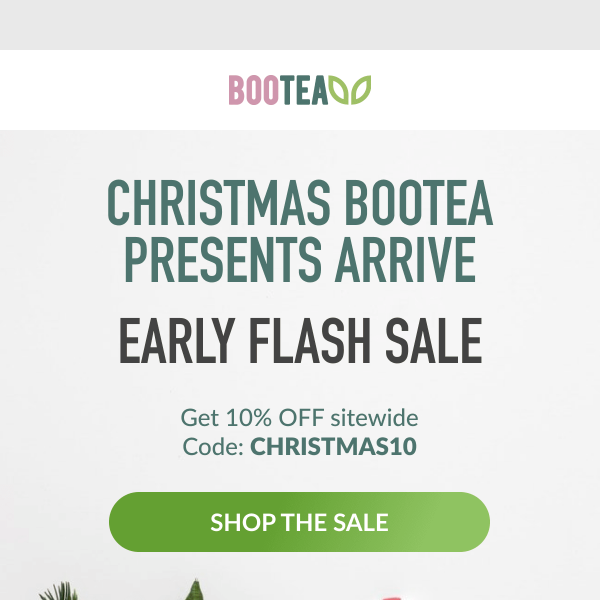 Christmas Flash Sale- Get 10% OFF 🎅