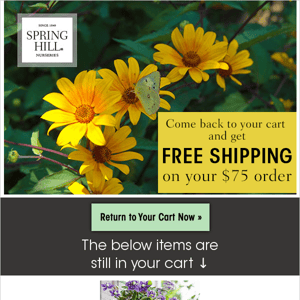 Complete your order with Free Shipping