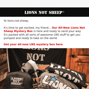 Hey Lions Not Sheep, we got a brand new mystery box for you