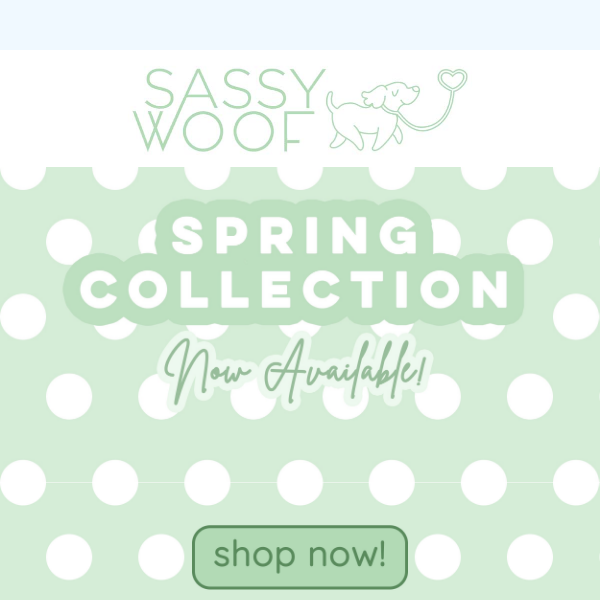 NEW Spring Collection is here!🌷🌞🐥🦕