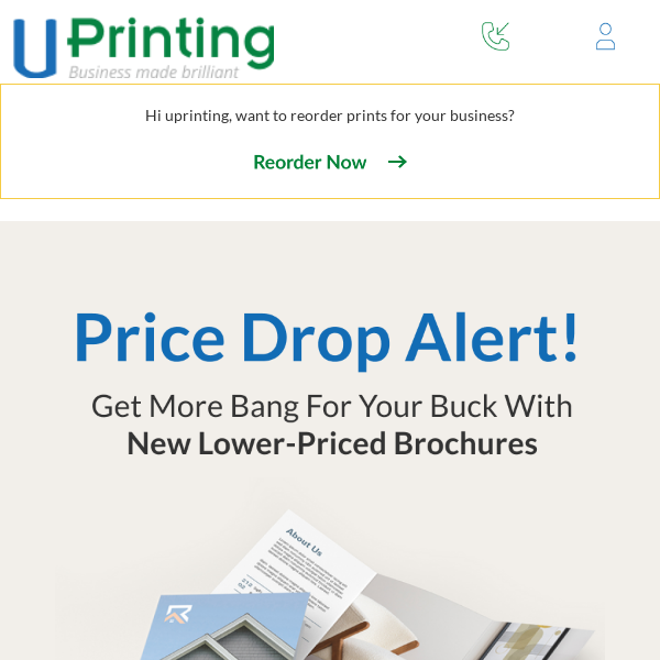 Exciting News: Price Drop on Brochures!