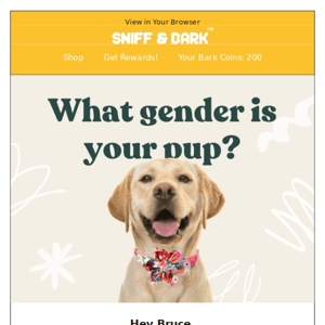 ❓Question: is your dog a boy or girl