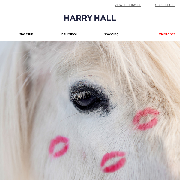 Harry Hall, help us choose our Charity Partner 2024