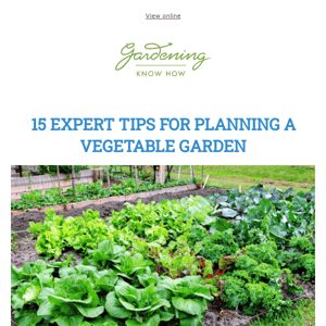 15 Tips For Planning A Vegetable Garden + Will Expired Seeds Still Grow? + Build A Rain Garden