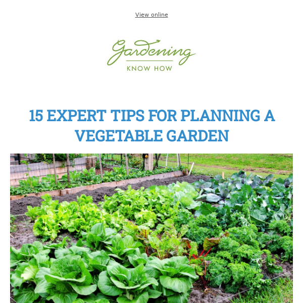 15 Tips For Planning A Vegetable Garden + Will Expired Seeds Still Grow? + Build A Rain Garden