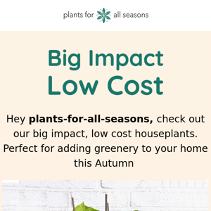 🌿 Big Impact, Low Cost Houseplants