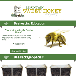 What are the traits of the Russian hybrid honey bees?