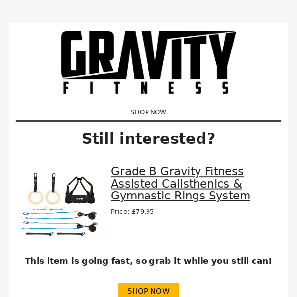 Gravity Fitness Assisted Calisthenics & Gymnastic Rings System - Gravity  Fitness Equipment