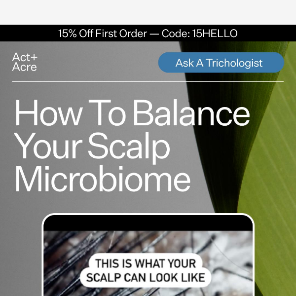 How To Balance Your Scalp Microbiome