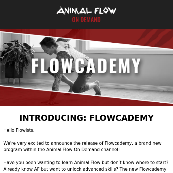 Now Available: Flowcademy by Animal Flow On Demand