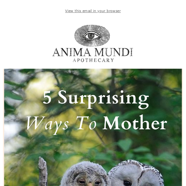 5 Surprising Ways To Mother (That Don’t Include Giving Birth)