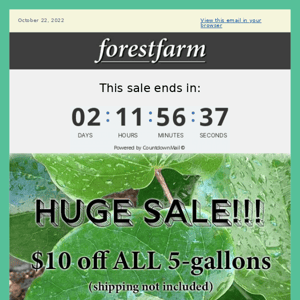 5-Gallon Sale!! 😍