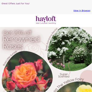 Get 20% Off Roses 🌹