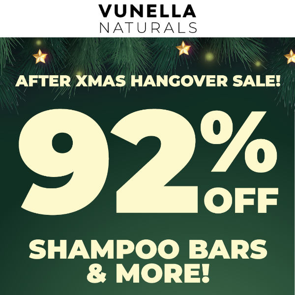 🎄Holiday Hangover Sale (!)