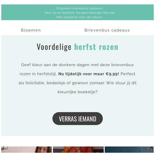 💥 Herfstdeal: brievenbus rozen voor €9,99