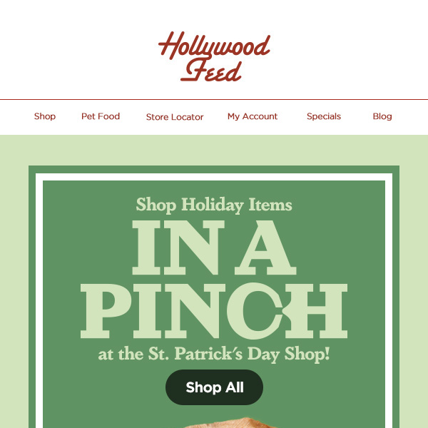 Shop Holiday Items in a Pinch at the St. Patrick's Day Shop!