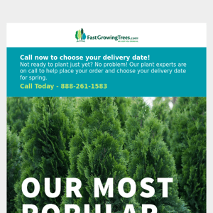 🌲 Plant experts on call