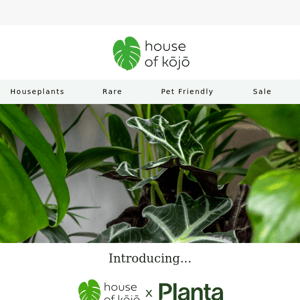 😌 Plant care just got easier!