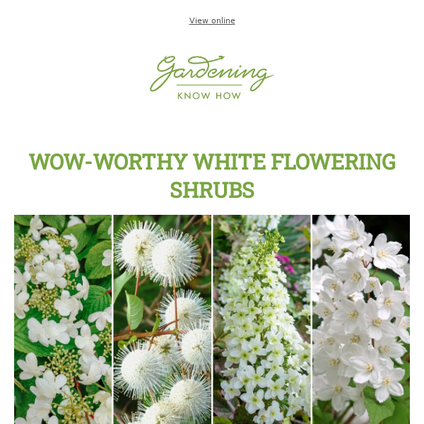 Wow-Worthy White Flowering Shrubs + Do NOT Buy These 11 Plants + When to Mulch